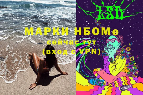 индика Алексин
