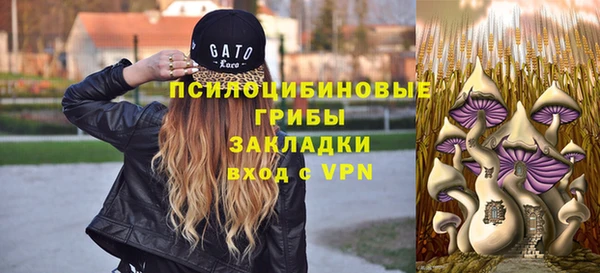 дурь Абдулино