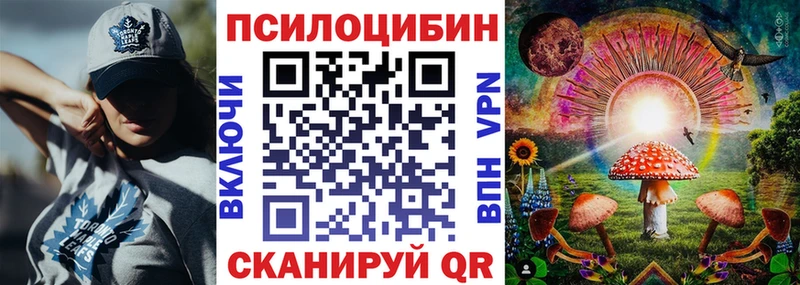 omg   Тарко-Сале  Псилоцибиновые грибы мицелий  наркота 